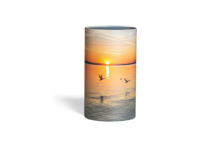 Askerør med solnedgang